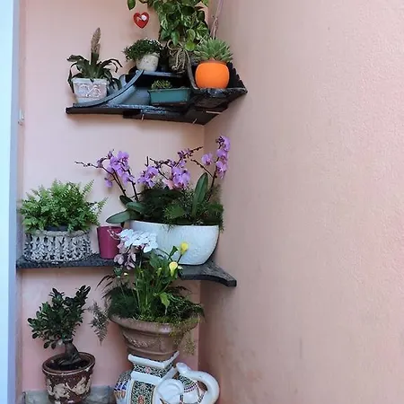 Sandra Apartman Biograd na Moru